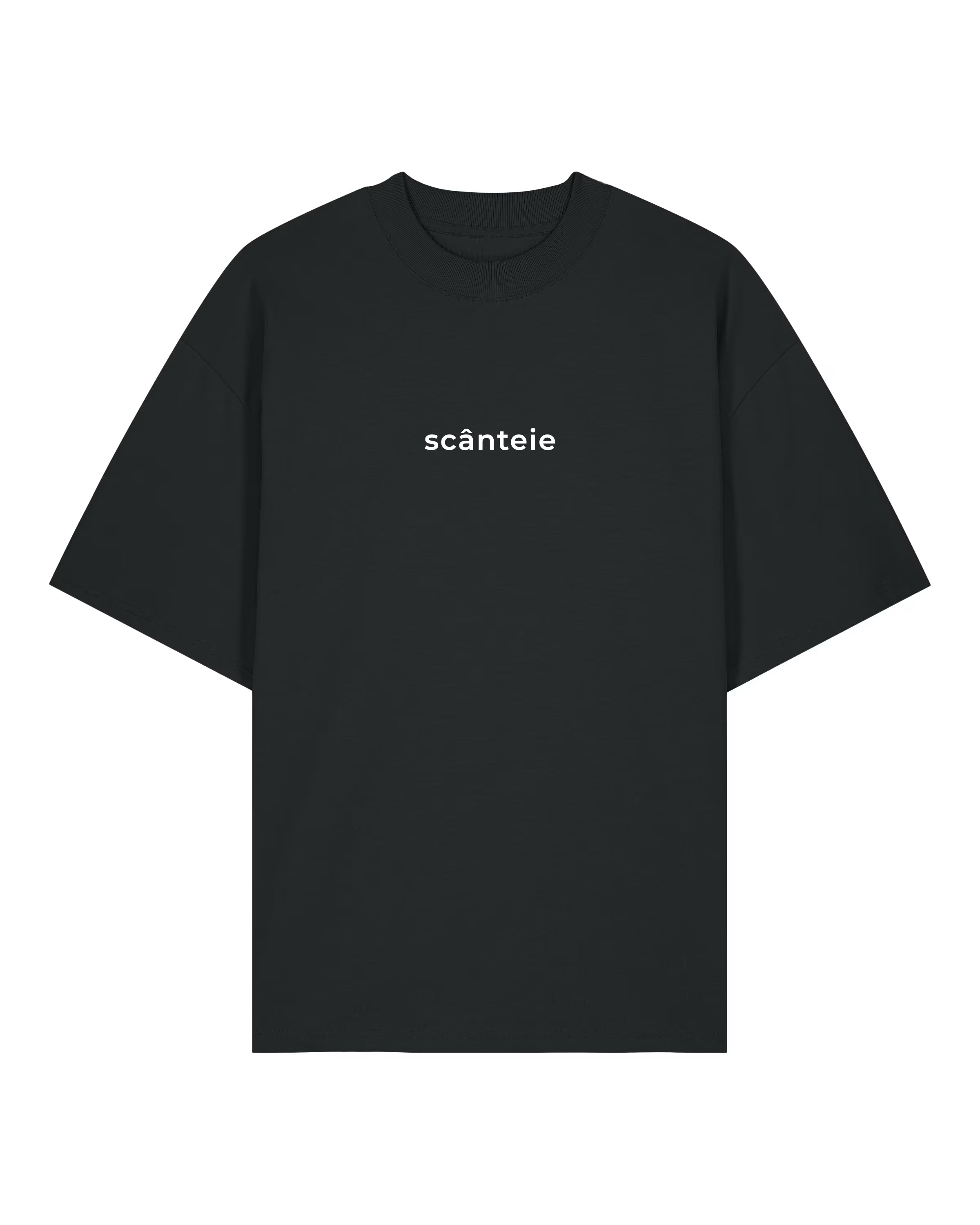 scânteie | Tricou OVERSIZED | WORDROBE